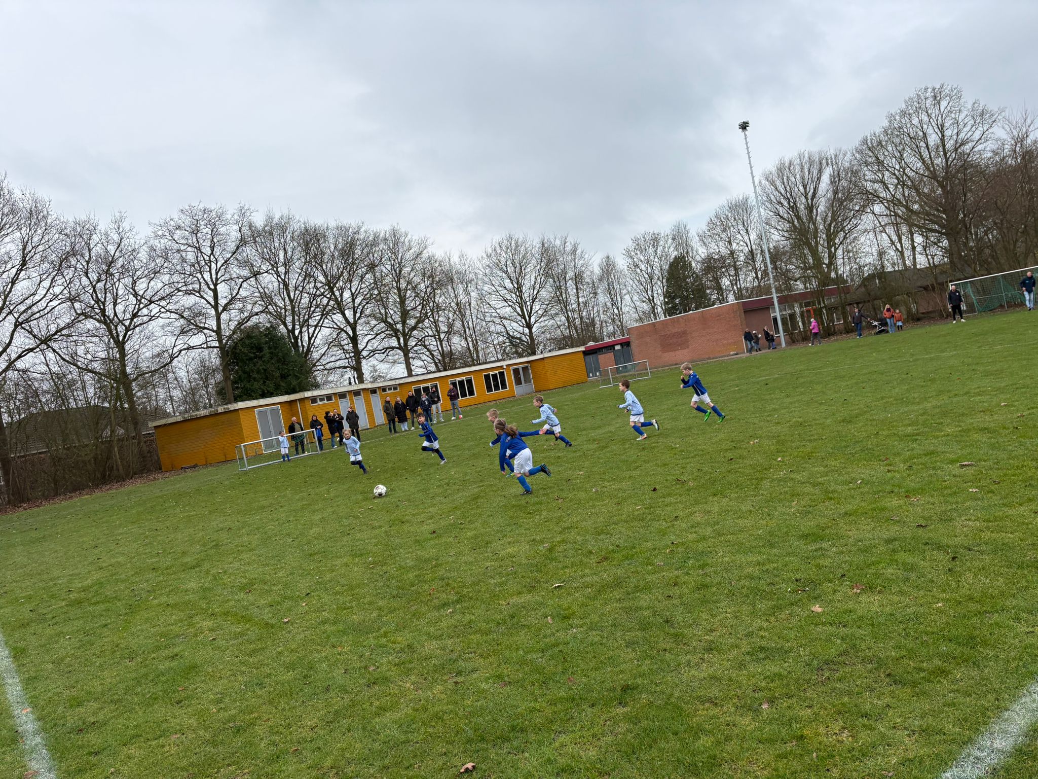 Deze week.......(287)